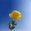 luu_ly_8868