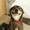 sticky_experience