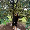 khắc Thành
