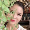 Hoa Bi