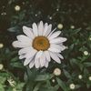 aoy._123
