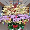 tamthanh576
