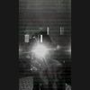 _rysch