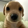 ntan.cutii04