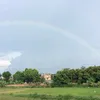 thanhphuong_982