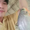 robertthai0