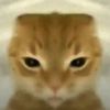 makotoofficial0