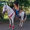 baia_da_cowgirl