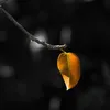 Rời Bỏ