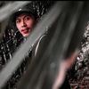 _abayfdllh29