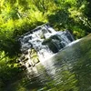 steev_62