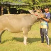 lovef2554