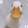 qnnhhuw