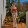 amy van laar