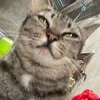 meooowwwww_