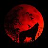 darkwolfsoul117