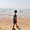 zoz_masr20