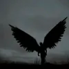mortikxd