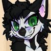 socks_the_dogy