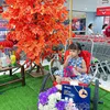 thuluu2811