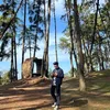 _n.minhhieu_