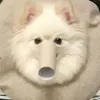 leogsh._