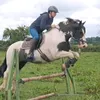 flick_and_the_equines