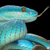 _slytherin777