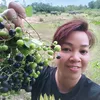 phuongthao_bhol