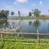 tammx1804