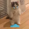 justalittleeebit