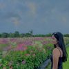 nurannisaap