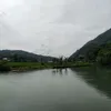 honnhien6