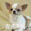 yan_ting_0403