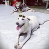 Moon_Út🐶