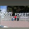 rosyadazakisyafa