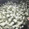 quanbinh68