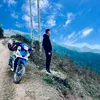 dinhtien993
