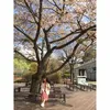 huyen91mc