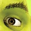 shreks_left_eye