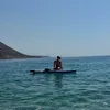 solecka.a