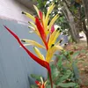 t.cuong.8