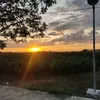 accscszx