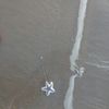 secrettaccount27