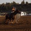 montana_w44