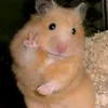 jamesjarupojop
