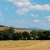 cristina.cricro