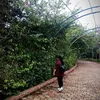 phucthuynguyen19071997