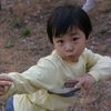 ting_081o