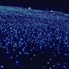 iuemkoanh